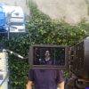 HIJO DE SU PADRE MAKING OF, archivo IMCINE