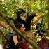 SELVA TRÁGICA, cortesía directora