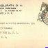 Archivo Estela Vollrath Lezama de Martín y Familia Martín Vollrath